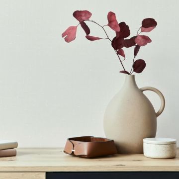 Vliestapete Uni Struktur Modern in Beige für Wohnzimmer, Schlafzimmer, Lounge (KG-172867)