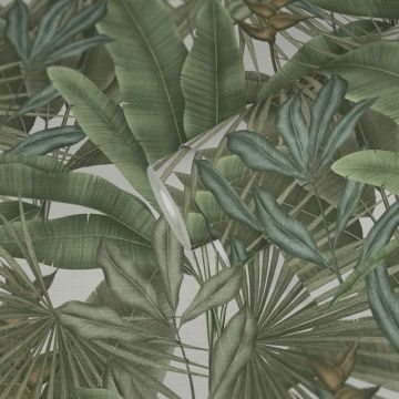 Pflanzen Tapete Grün Naturtöne Beige - Vliestapete mit Dschungelmotiv matt (KG-172936)