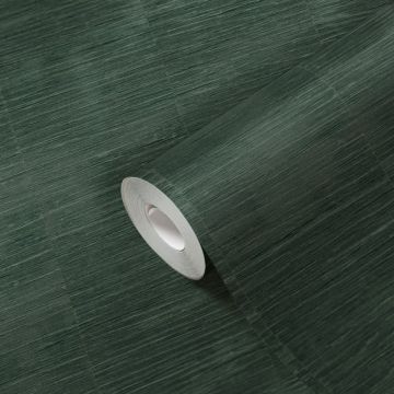 KG-174635-1