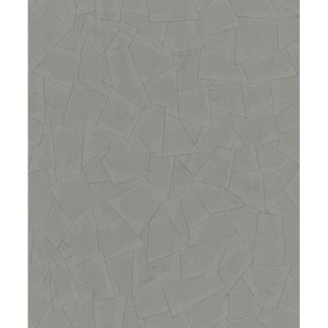 Vliestapete Grafisch Retro, Modern in Taupe Marburg (KG-175066)