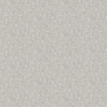 kim402_g_