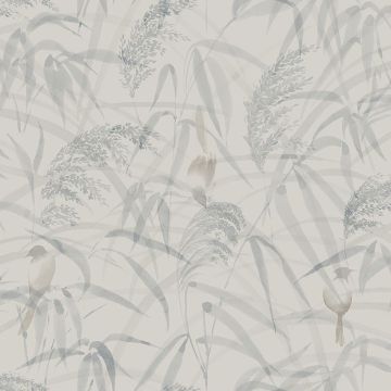 s10108-anna-image1