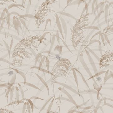 s10110-anna-image1