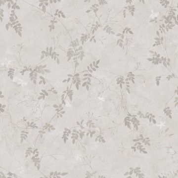s10111-irene-image1