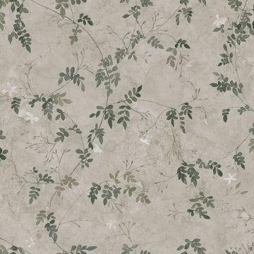s10112-irene-image1