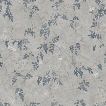 s10113-irene-image1