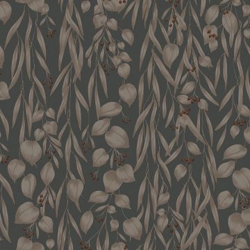 s10117-sara-image1