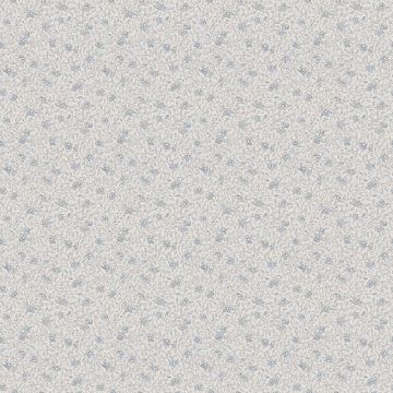 s10120-stella-image1
