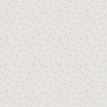 s10121-stella-image1
