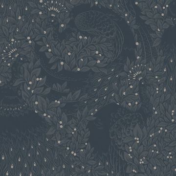 s10126-evelina-image1