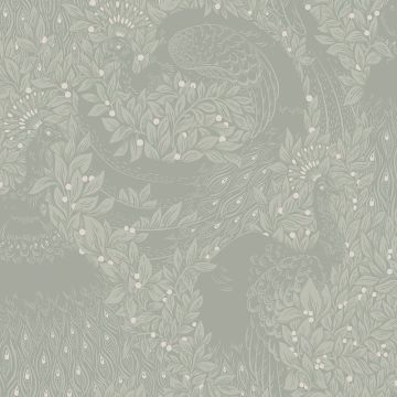 s10127-evelina-image1