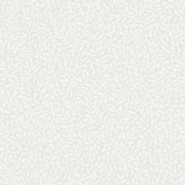 s10181-sigfrid-product