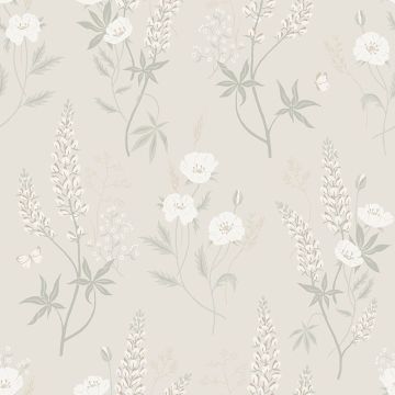 s10184-emma-product