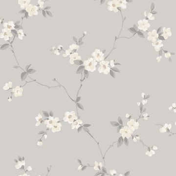 s10187-engla-product
