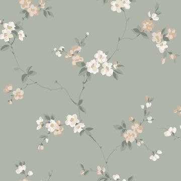 s10188-engla-product