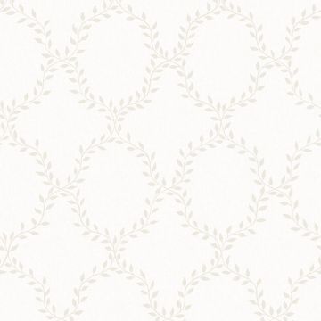 s10200-wilma-product