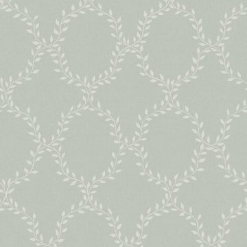 s10201-wilma-product