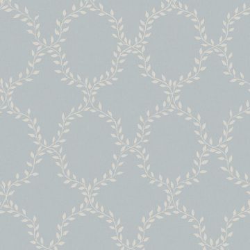 s10202-wilma-product