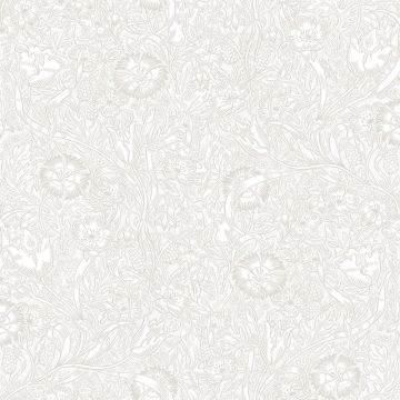 s10209-caroline-product