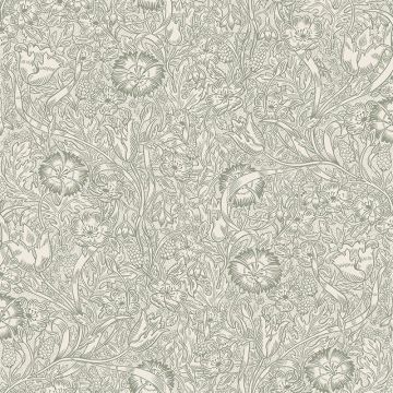 s10210-caroline-product