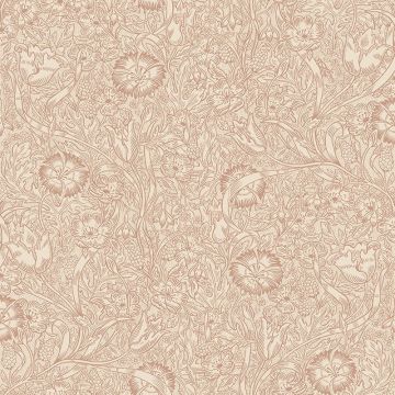s10211-caroline-product