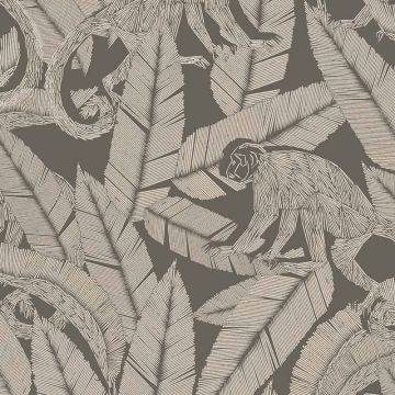 tri002