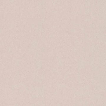 uni004_1