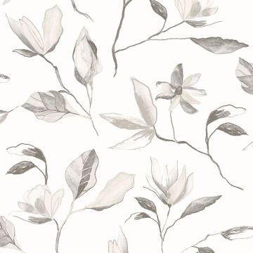 zen002