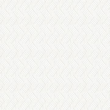 zen401