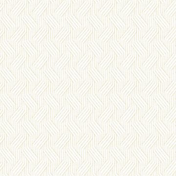 zen404
