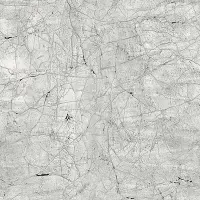 Digitaldruck-Tapete Grau, Silber SCH&Ouml;NER WOHNEN...