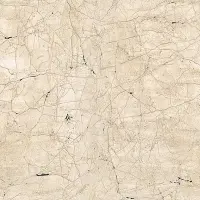 Digitaldruck-Tapete Beige, Creme SCH&Ouml;NER WOHNEN...