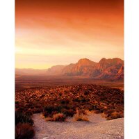 Digitaldruck-Tapete Orange, Terrakotta Marburg (1035570)