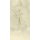 Digitaldruck-Tapete Beige, Creme Eijffinger (1034943)