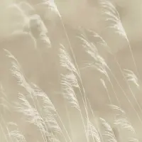 Digitaldruck-Tapete Beige, Creme Eijffinger (1034940)