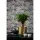 Tapete Grau, Silber livingwalls Vliestapete (1034634)