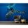 Digitaldruck-Tapete WhaleFin livingwalls (1034251)