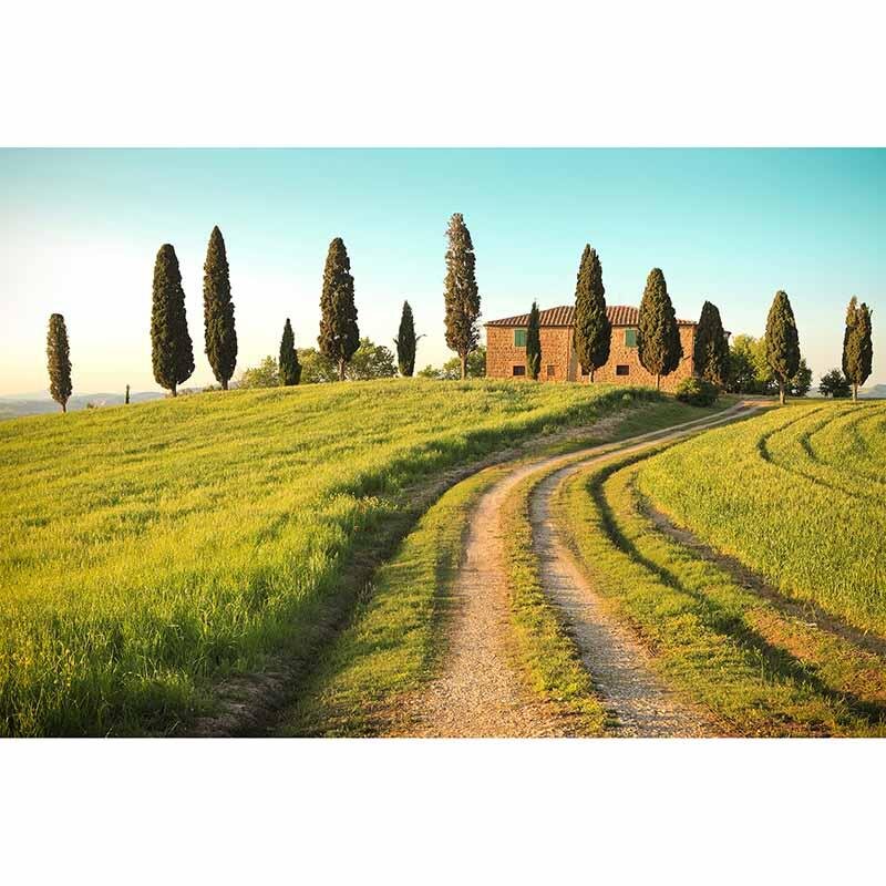 Digitaldruck-Tapete ToscanaSummer livingwalls (1034364)
