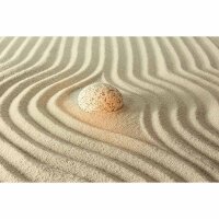 Digitaldruck-Tapete ShinyStoneonSa livingwalls (1034342)