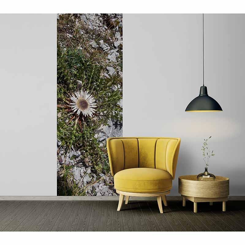 Digitaldruck-Tapete LittleDiscover livingwalls (1034537)