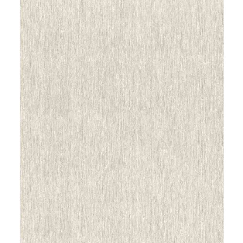 Vliestapete Grau modernes Design Rasch Incanto