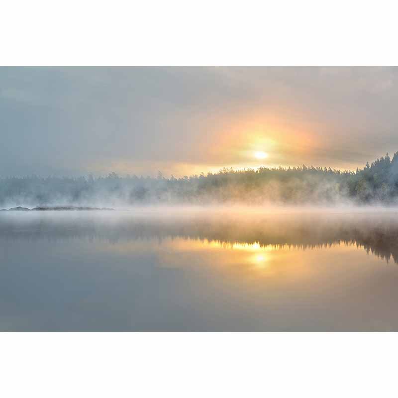 Digitaldruck-Tapete FoggyMorning livingwalls (1034344)