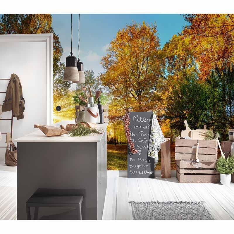 Digitaldruck-Tapete AutumnForest1 livingwalls (1034322)