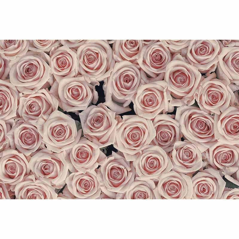 Digitaldruck-Tapete AntiqueRoses livingwalls (1034338)