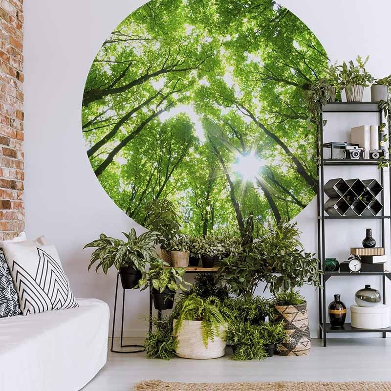 Digitaldruck-Tapete Sunny Forest livingwalls (1034146)