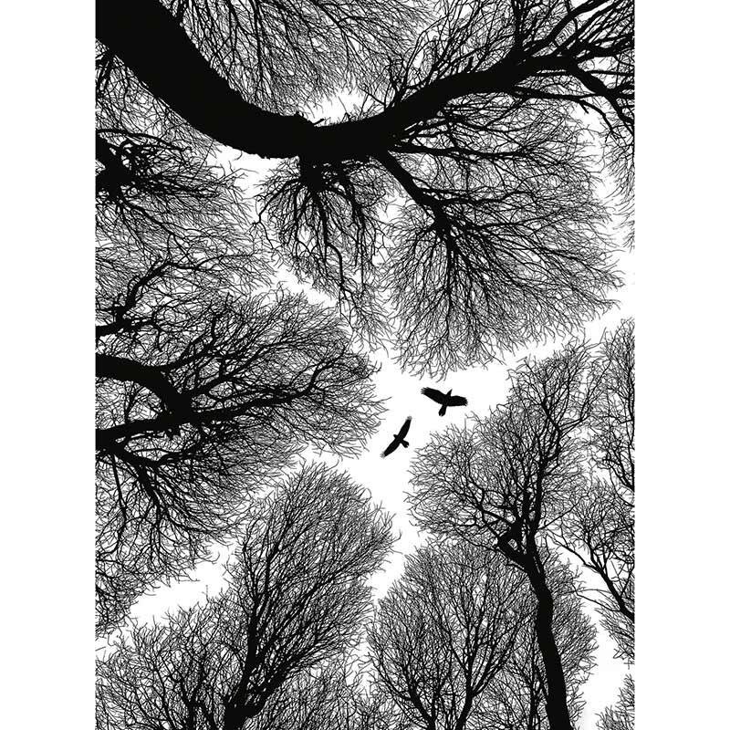 Digitaldruck-Tapete Escape livingwalls (1034117)