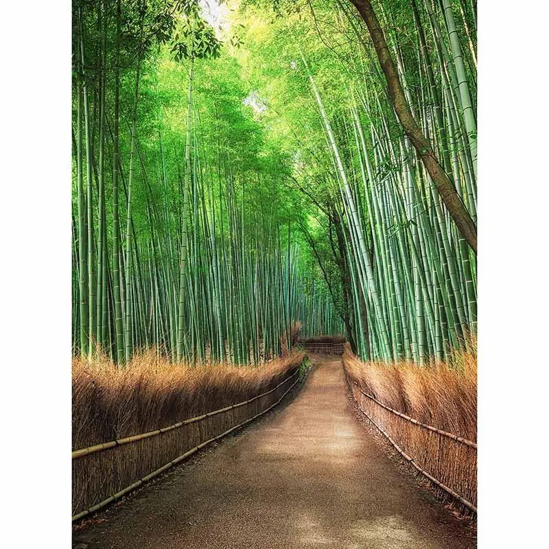 Digitaldruck-Tapete Bamboo Grove Kyoto livingwalls (1034112)