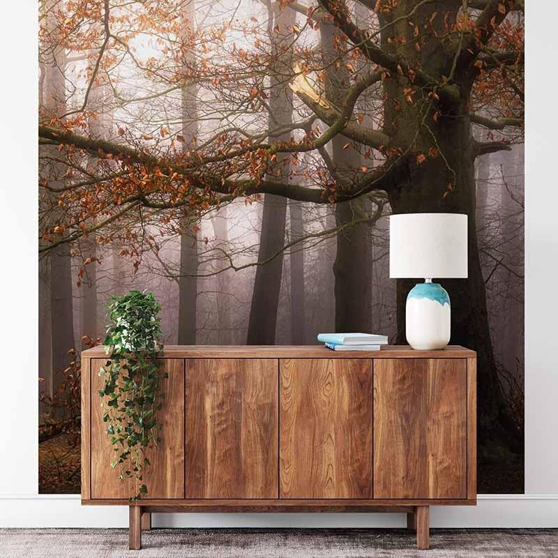 Digitaldruck-Tapete Foggy Autumn Forest livingwalls (1034103)