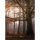 Digitaldruck-Tapete Foggy Autumn Forest livingwalls (1034103)