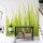 Digitaldruck-Tapete High Grass livingwalls (1034100)